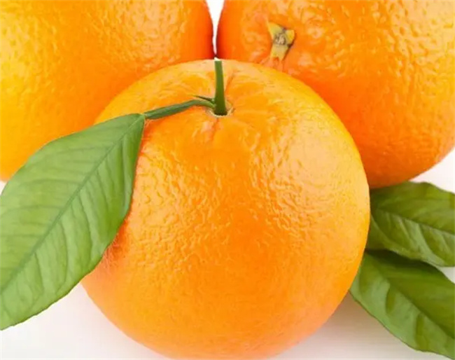 橙子全身都是宝有哪些效果
